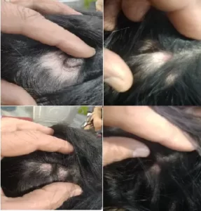 WhatsApp Image 2022-08-24 at 6.34.00 PM (2)